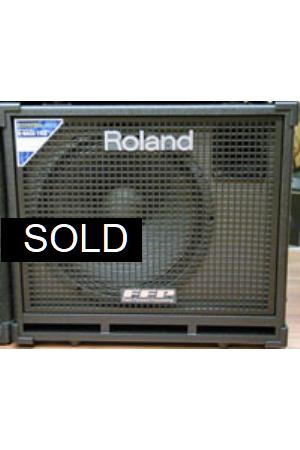Roland D-BASS 115X